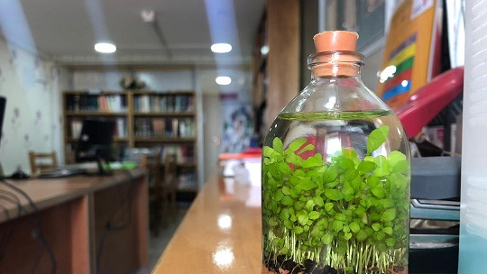 اسلایدر اصلی